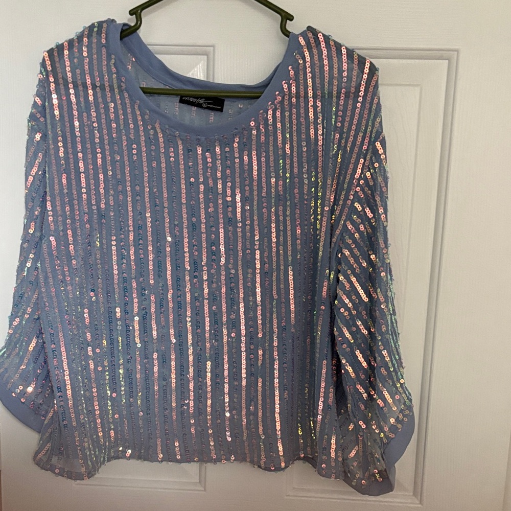 Sequin Embellished Blue Top